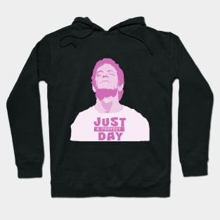 Just a perfect day Hoodie